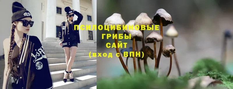 Псилоцибиновые грибы Psilocybe  Ангарск 